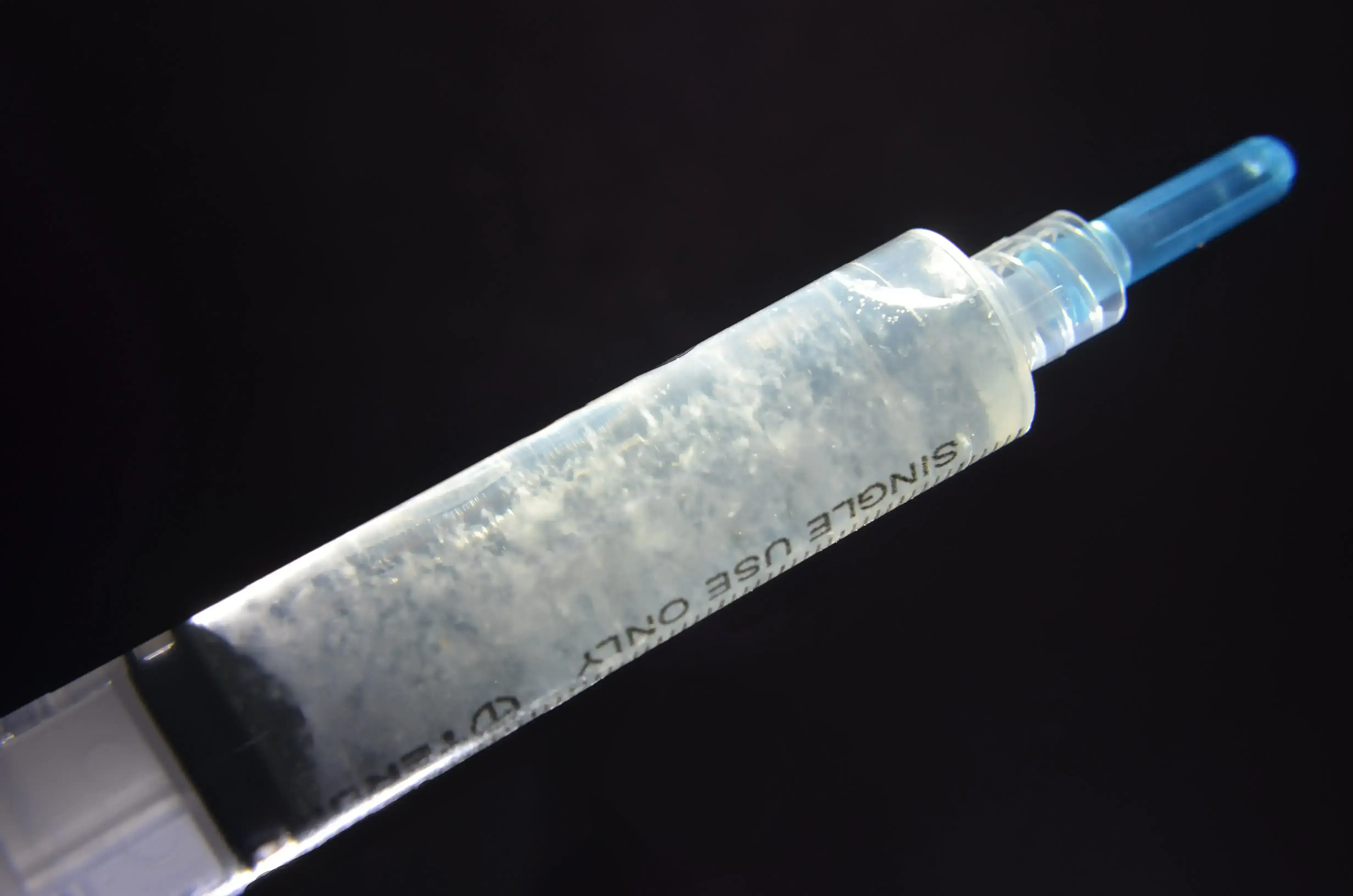 Mycelium sur grain dans une hotte à flux laminaire