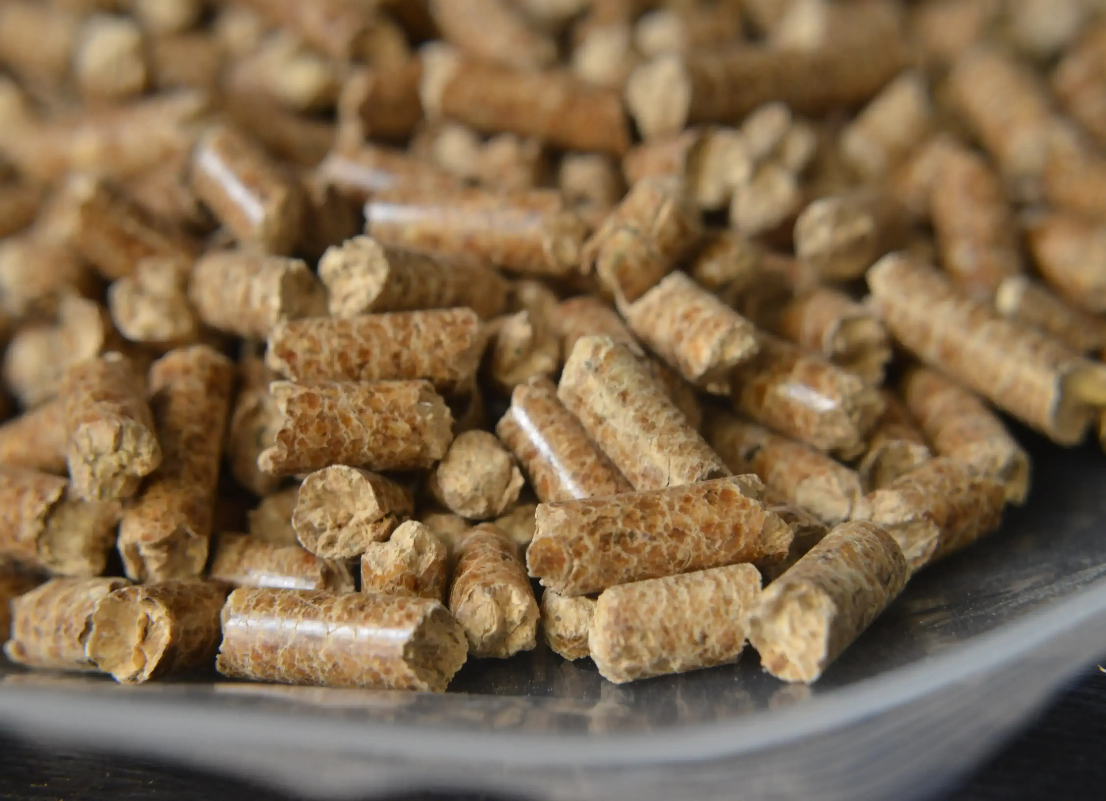 Granules de bois dure